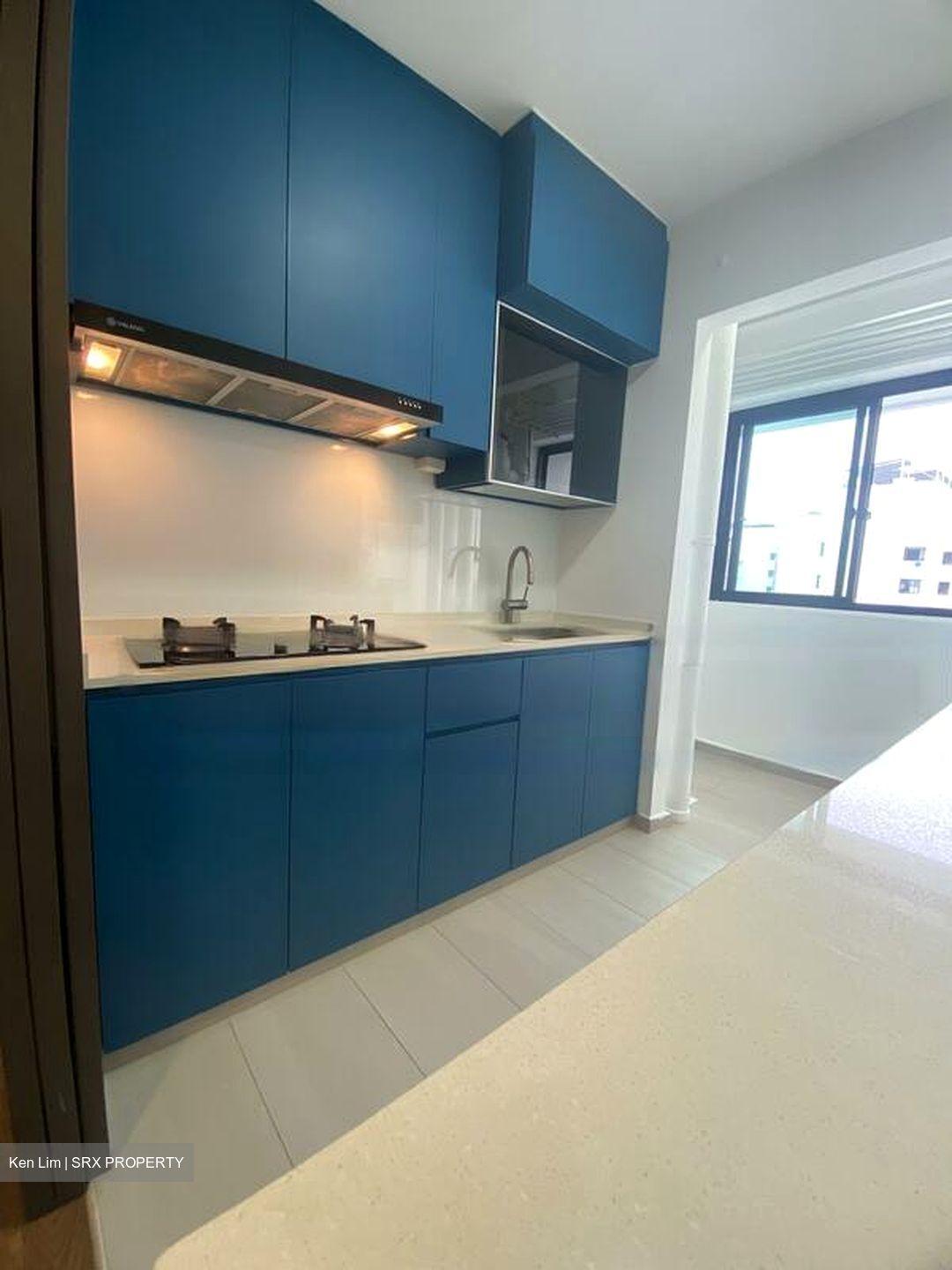 Blk 266D Punggol Emerald (Punggol), HDB 4 Rooms #461005201